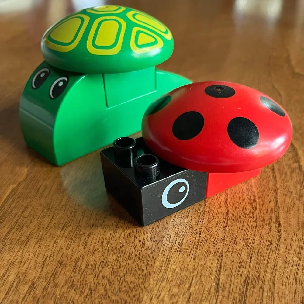 Duplo ladybug and turtle